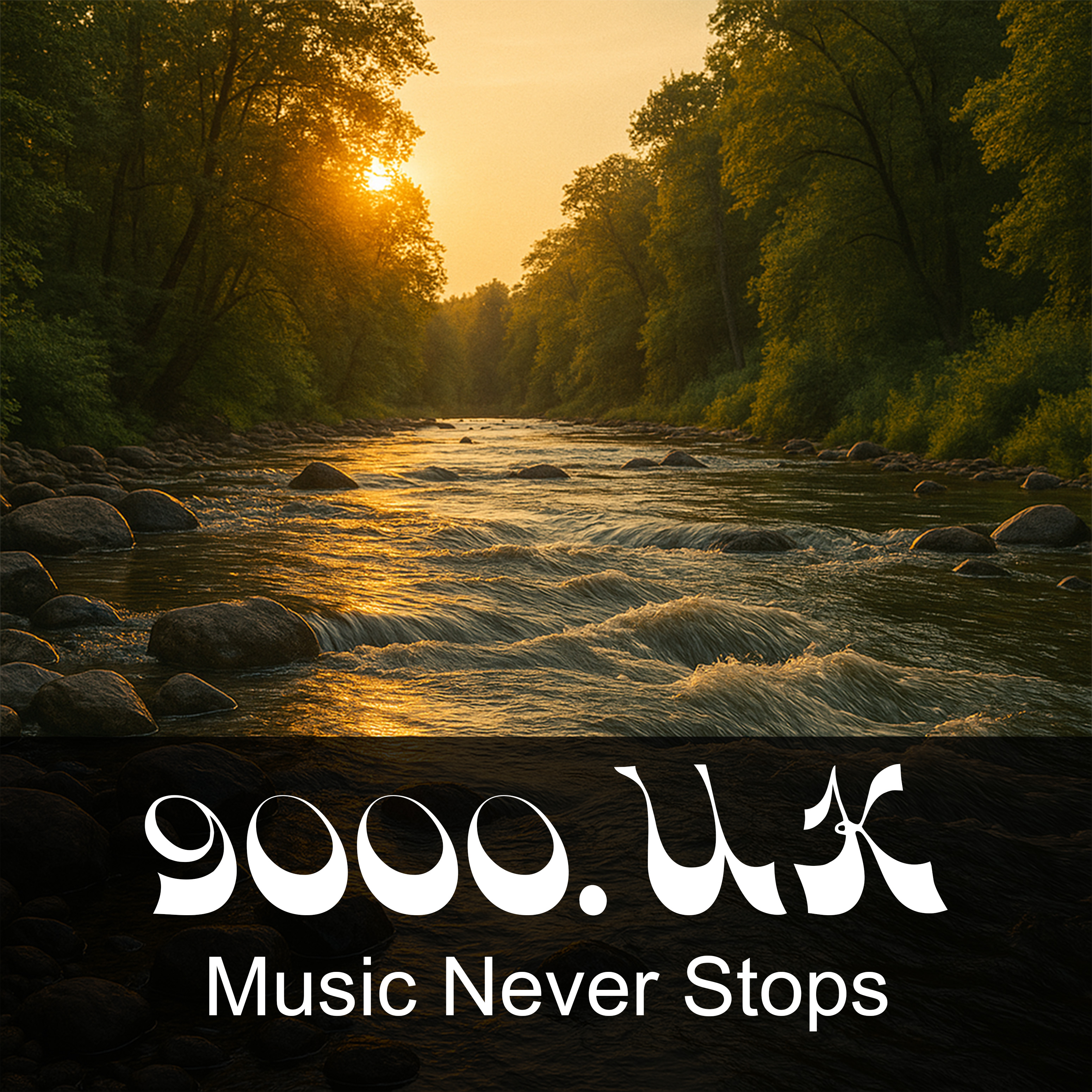Music Never Stops